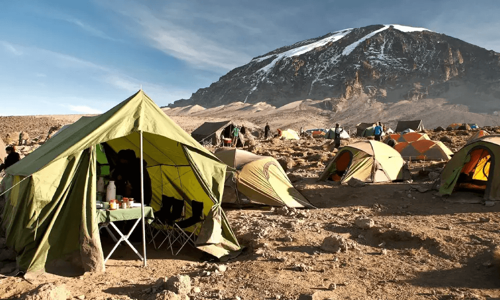 Kilimanjaro Mountain View