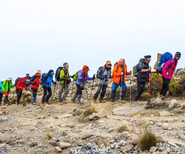 Day 3 - Across Shira Plateau