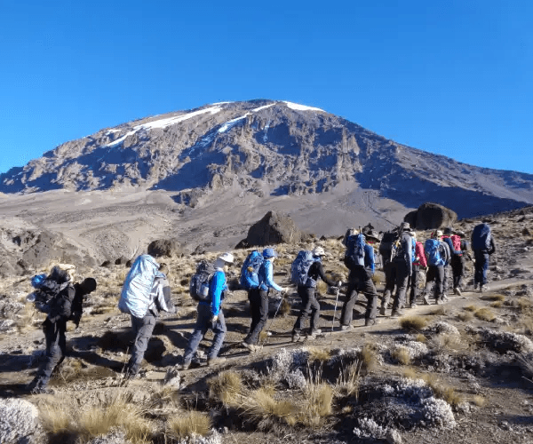 Day 7 - Summit Day - Uhuru Peak
