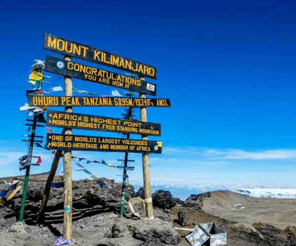 Day 2 - Machame Camp to Shira Camp