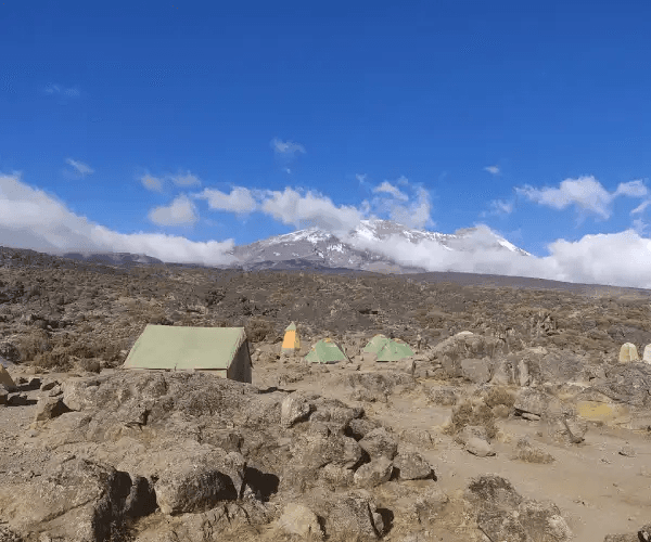 Day 6 - Summit Day: Barafu to Uhuru Peak to Mweka Camp